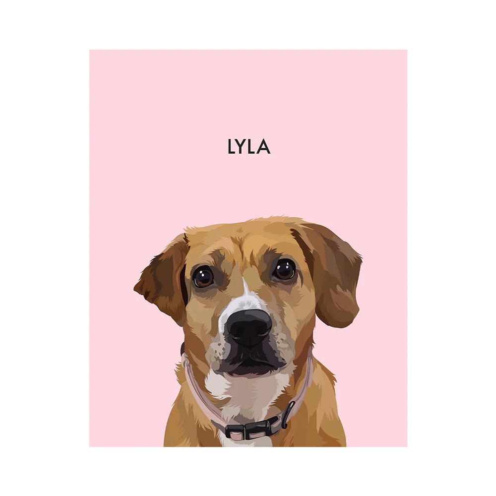 Product image 128