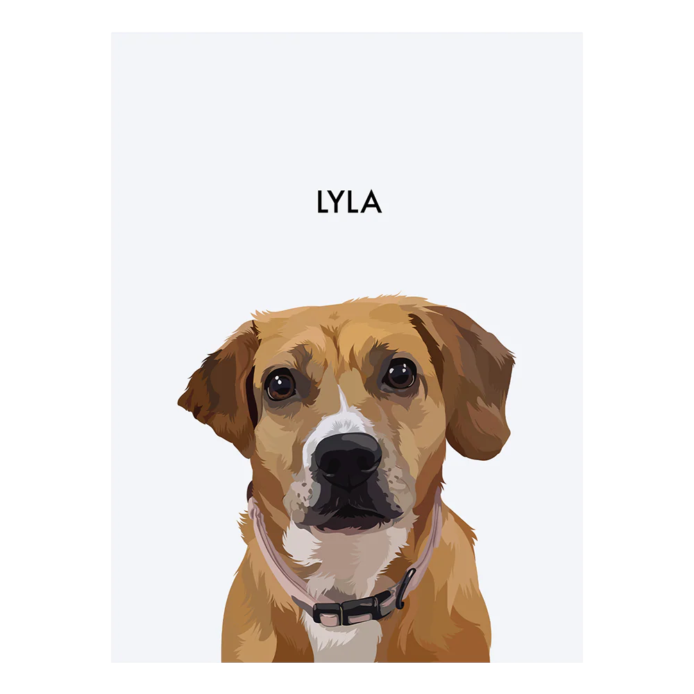 Product image 135