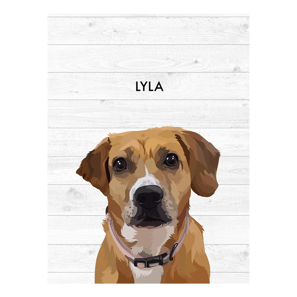 Product image 141