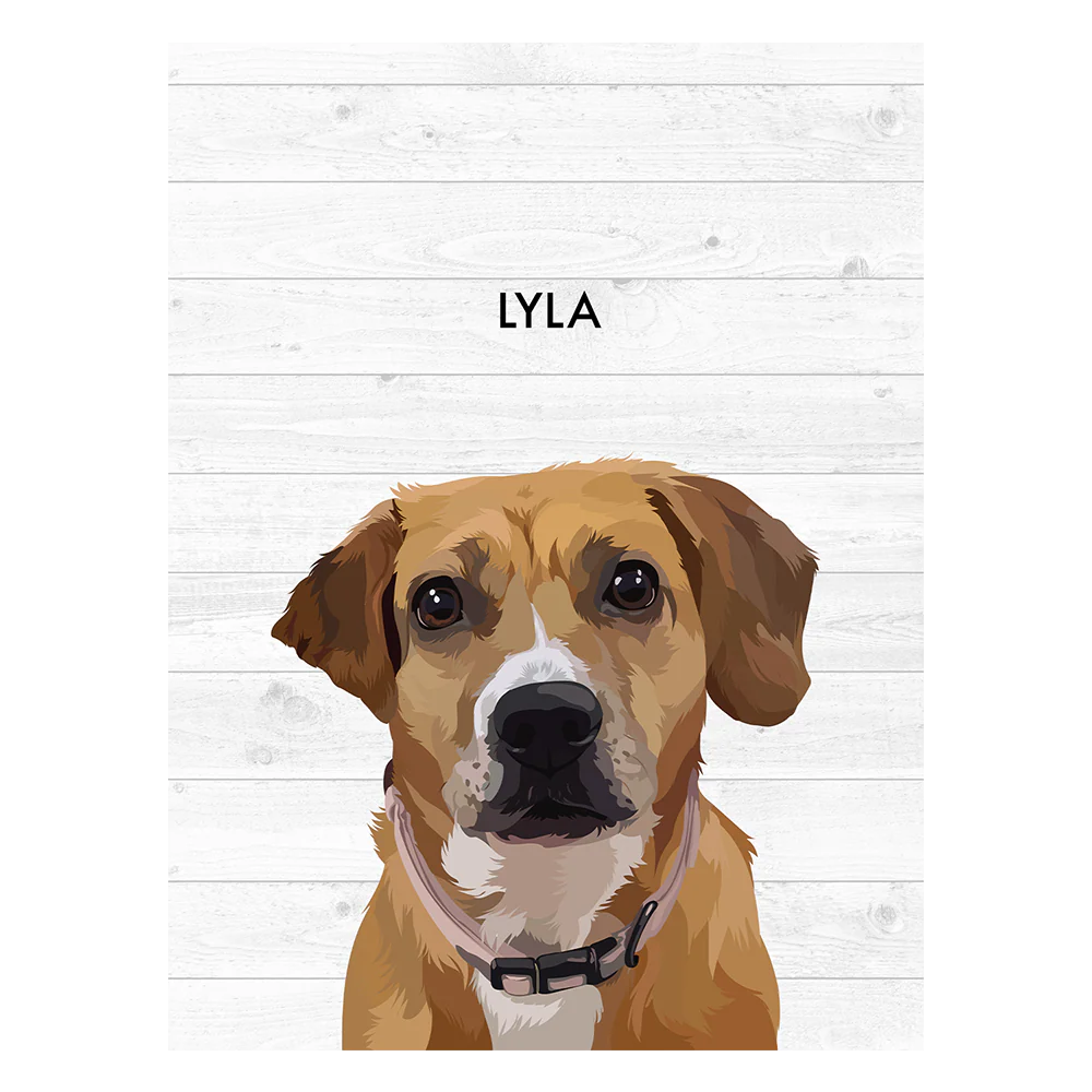 Product image 142
