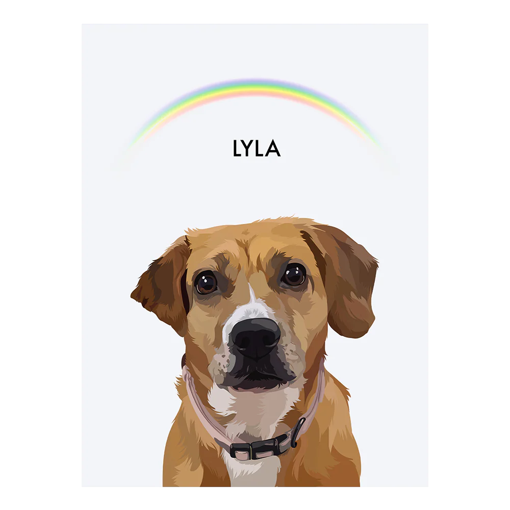 Product image 144