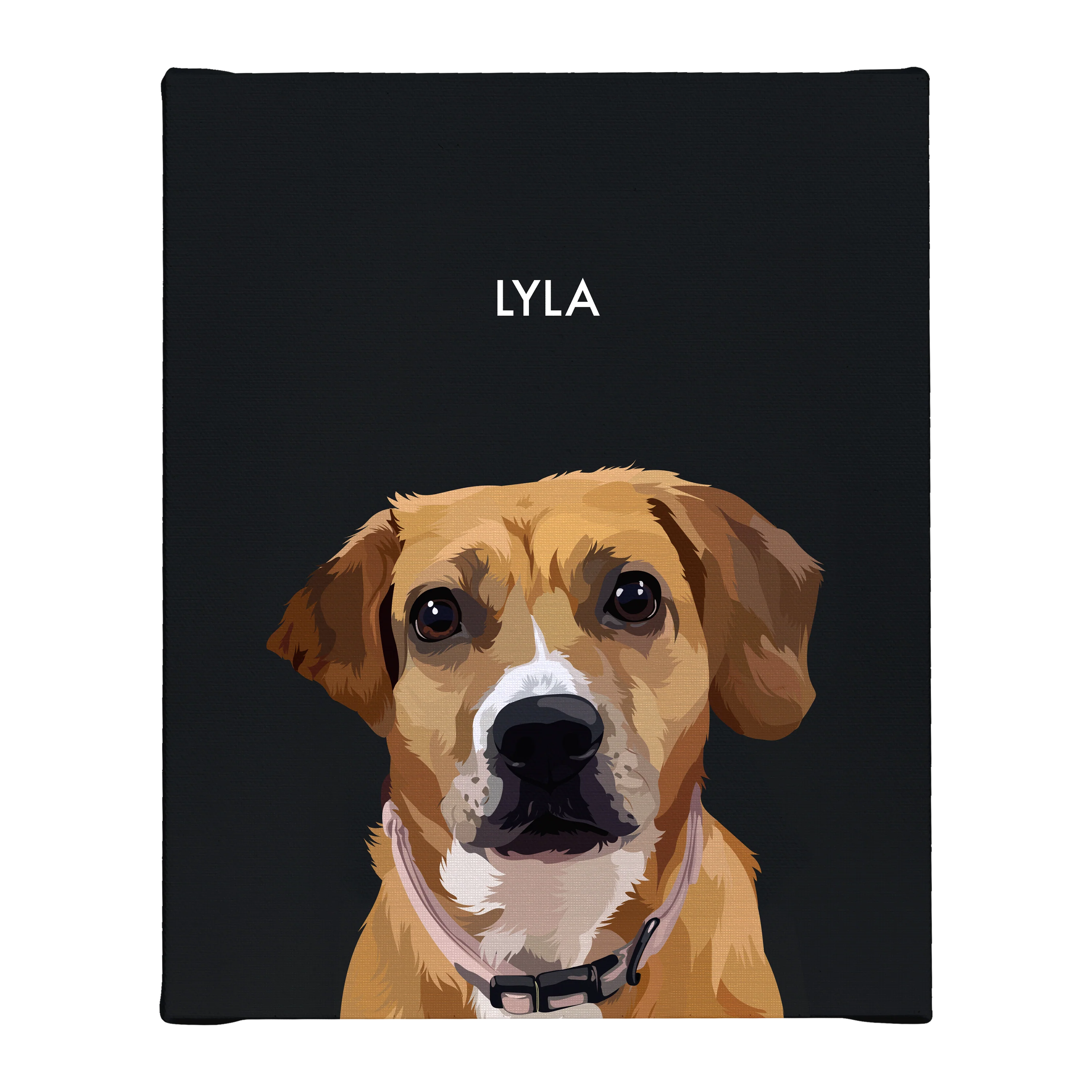 Product image 146