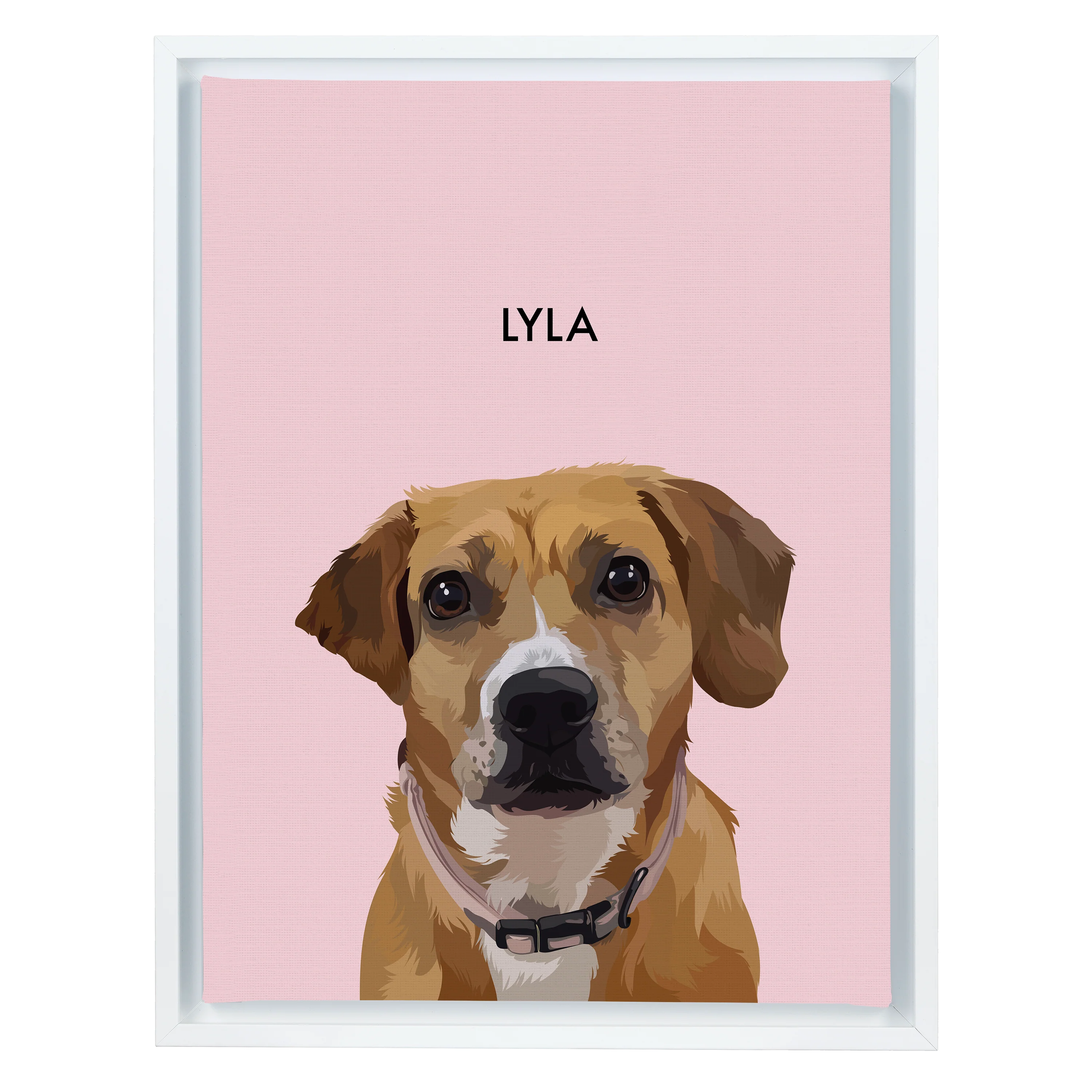 Product image 65