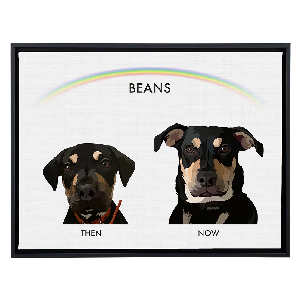 Product image 101