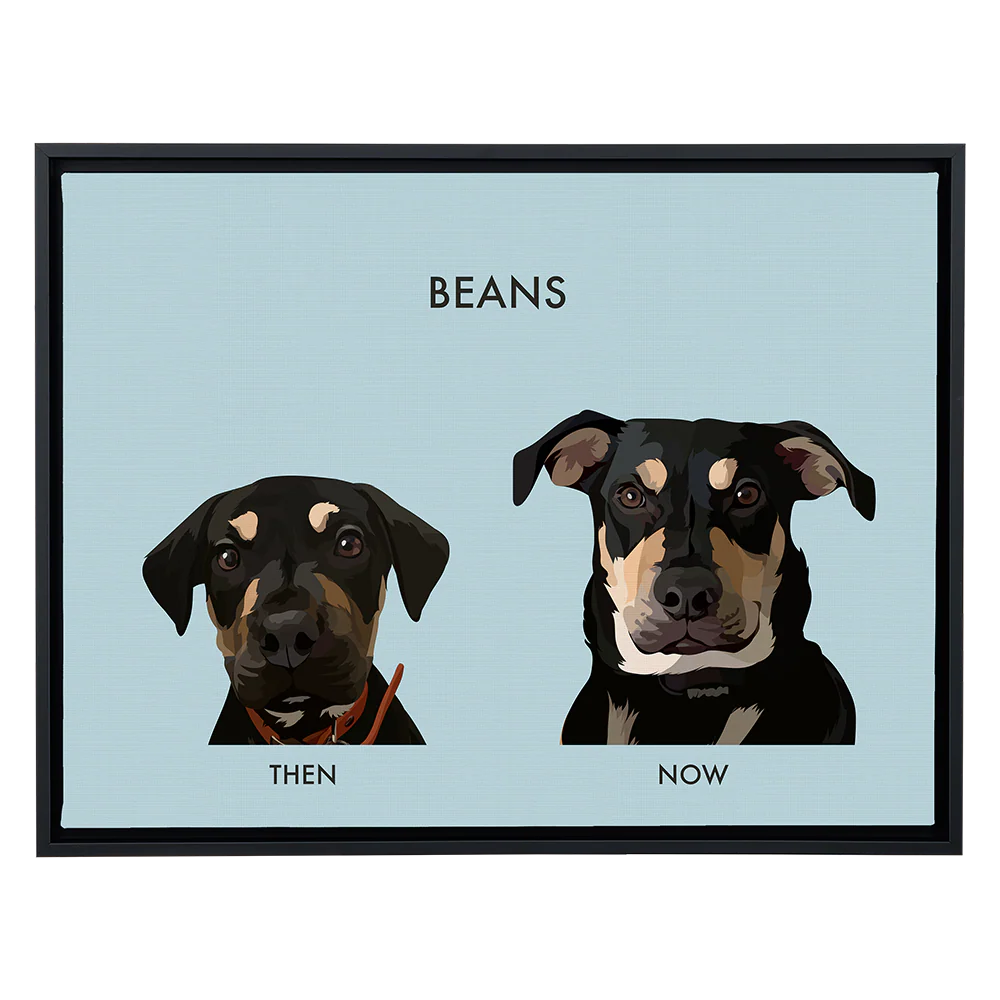 Product image 102