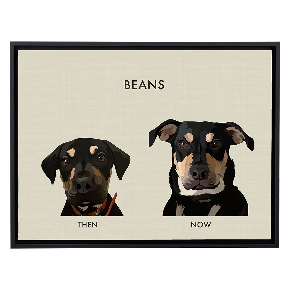 Product image 107