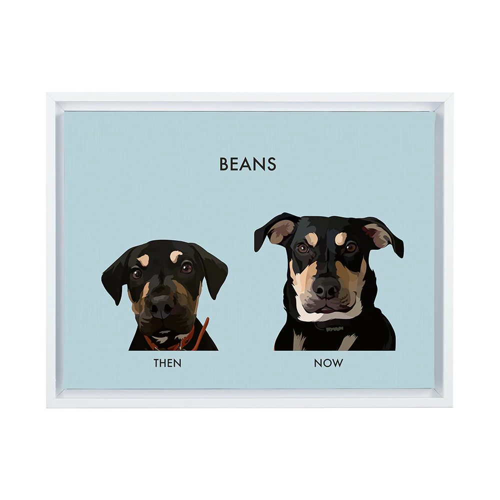 Product image 77