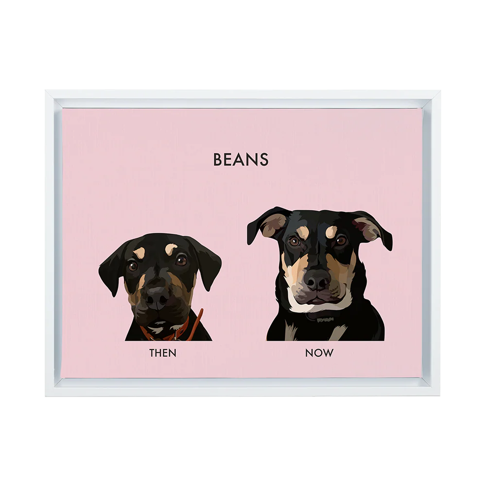Product image 79