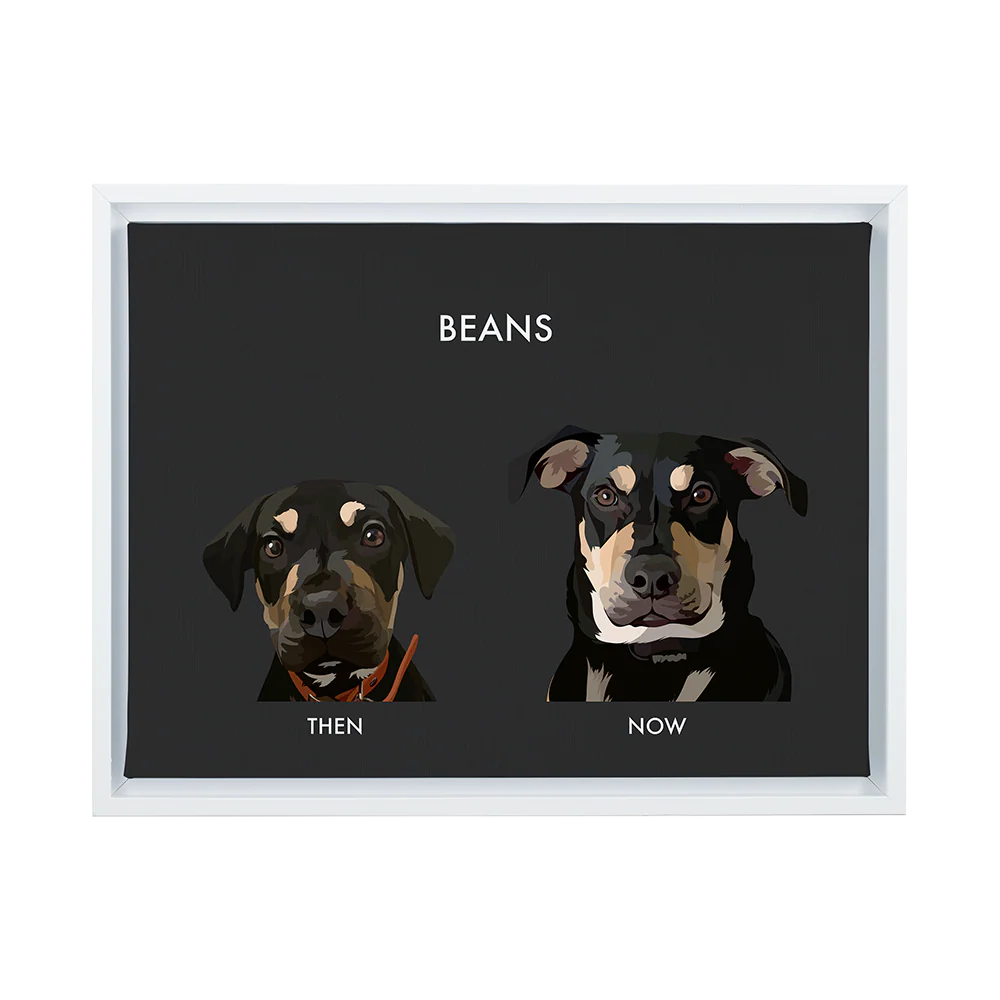 Product image 80