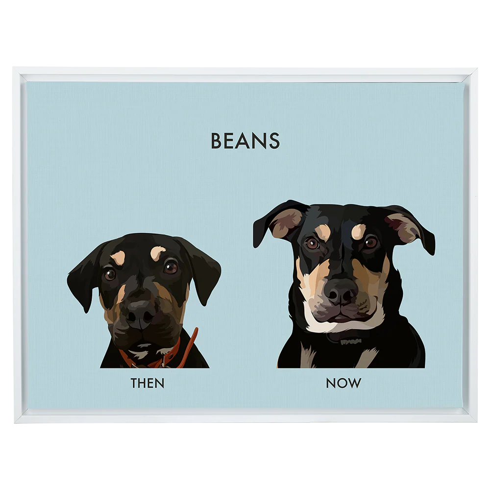 Product image 84