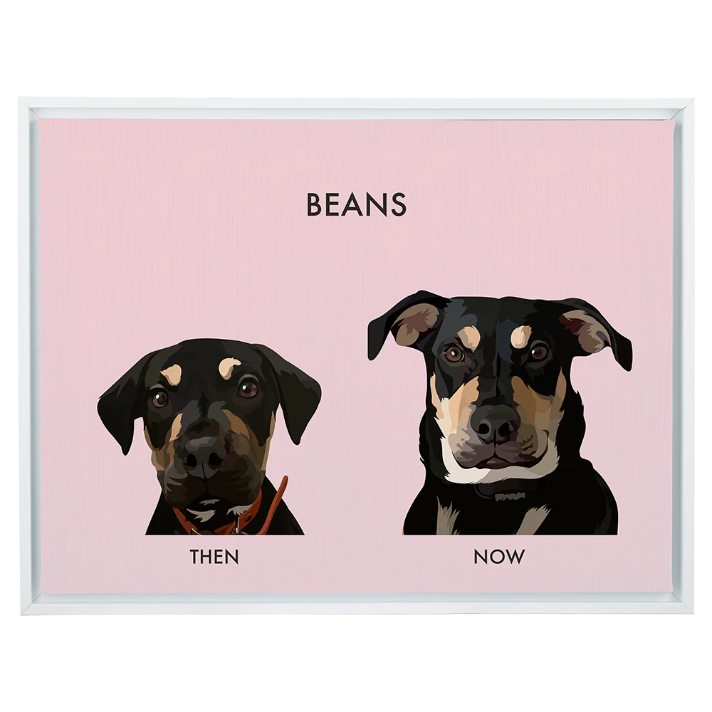Product image 86