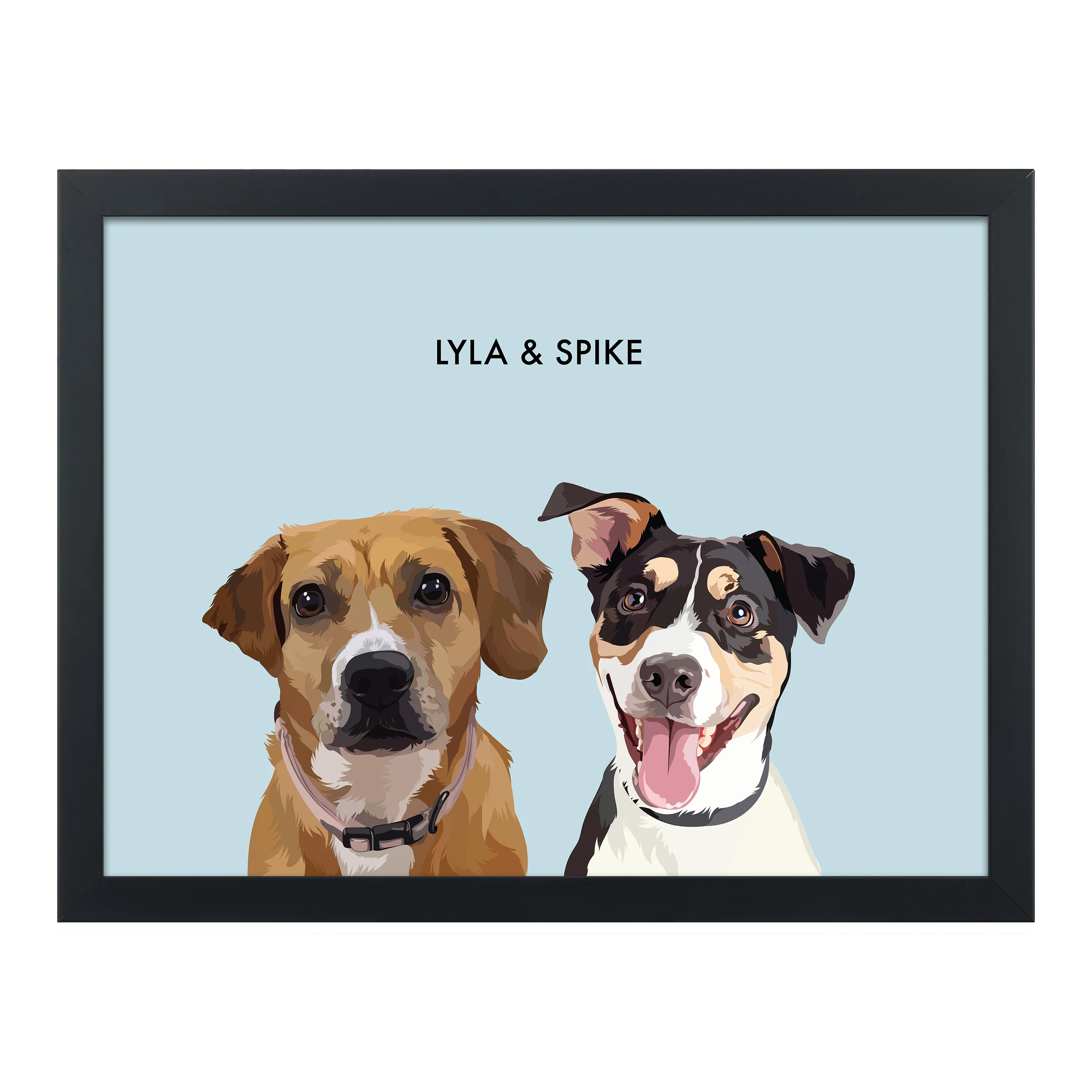Product image 101