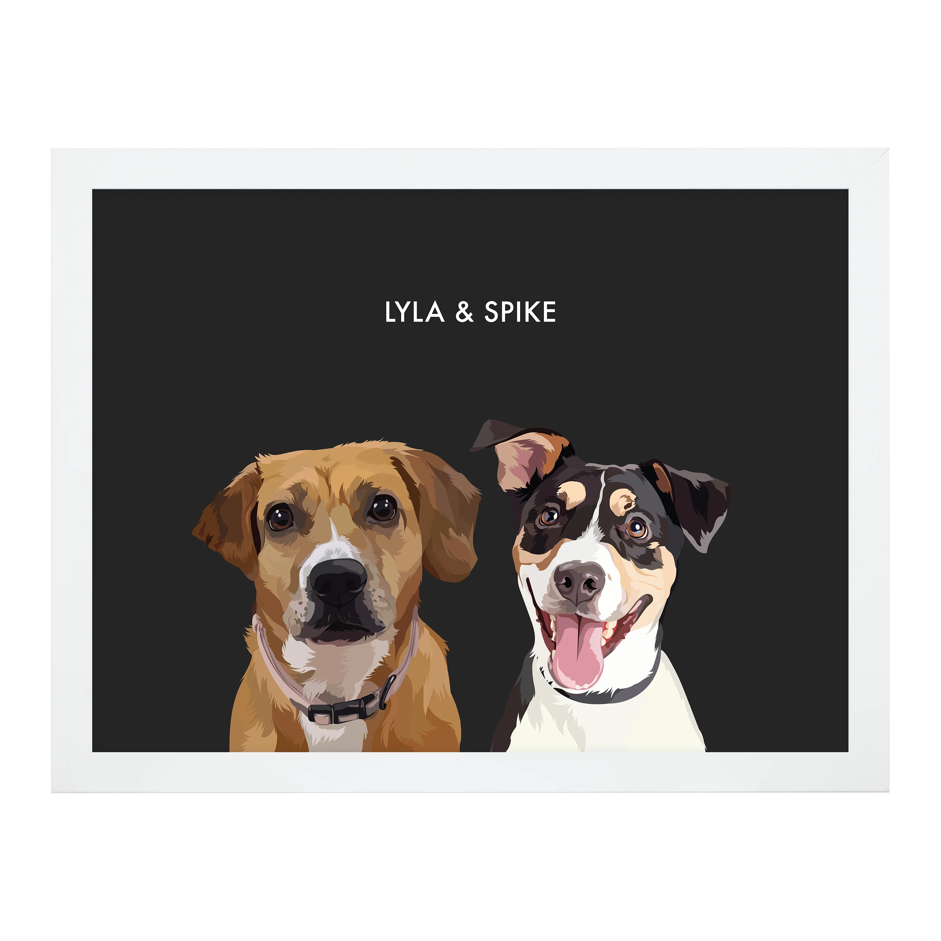 Product image 113
