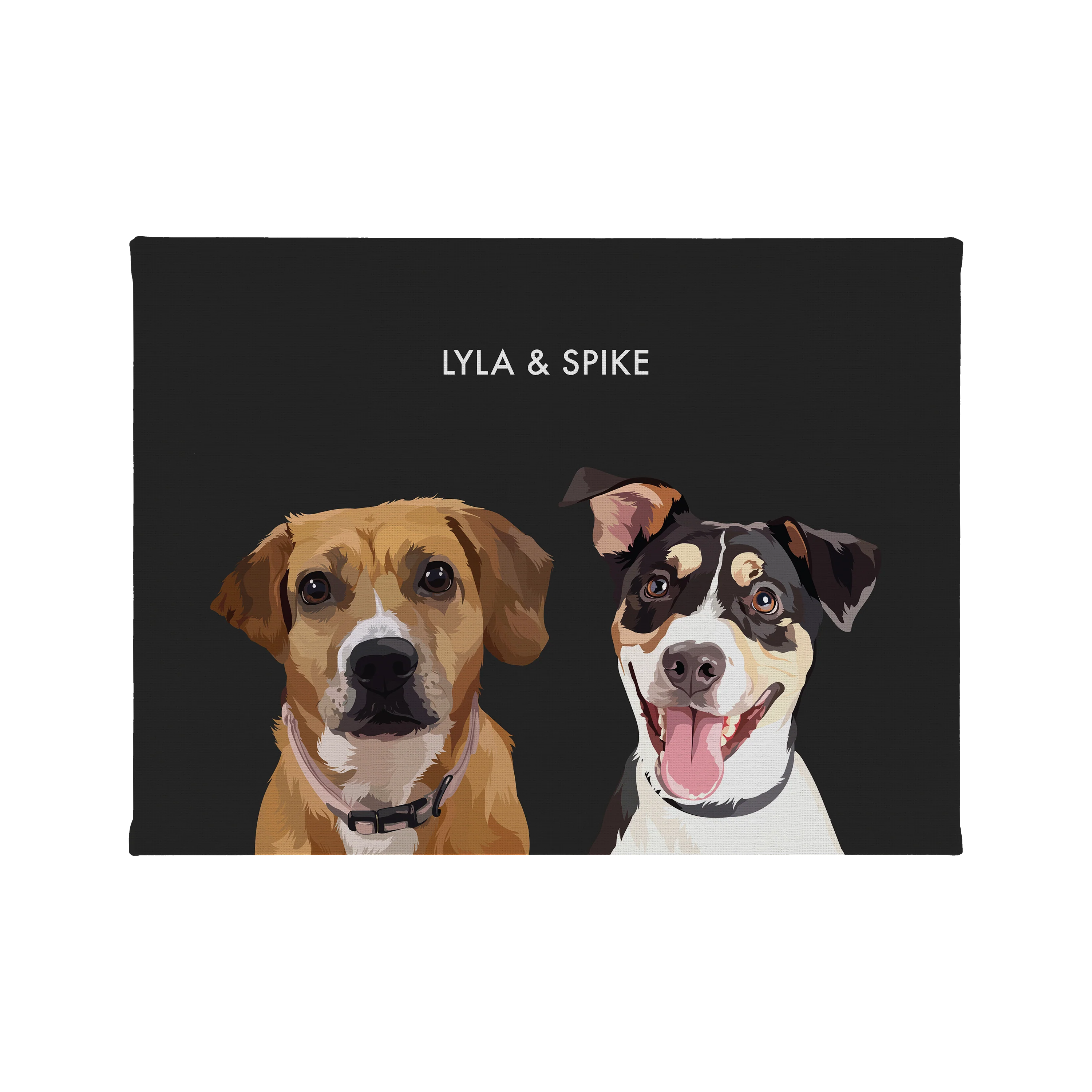 Product image 60