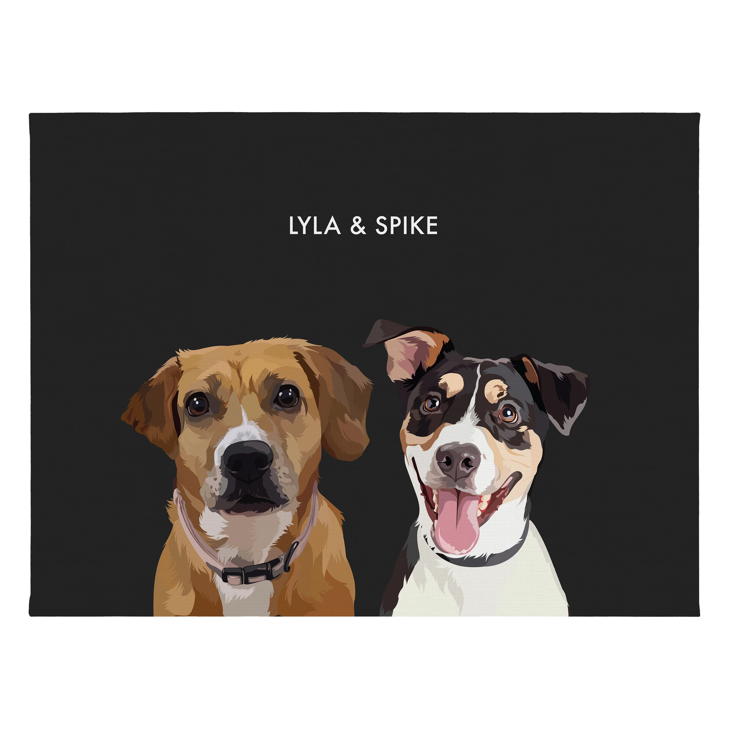 Product image 70