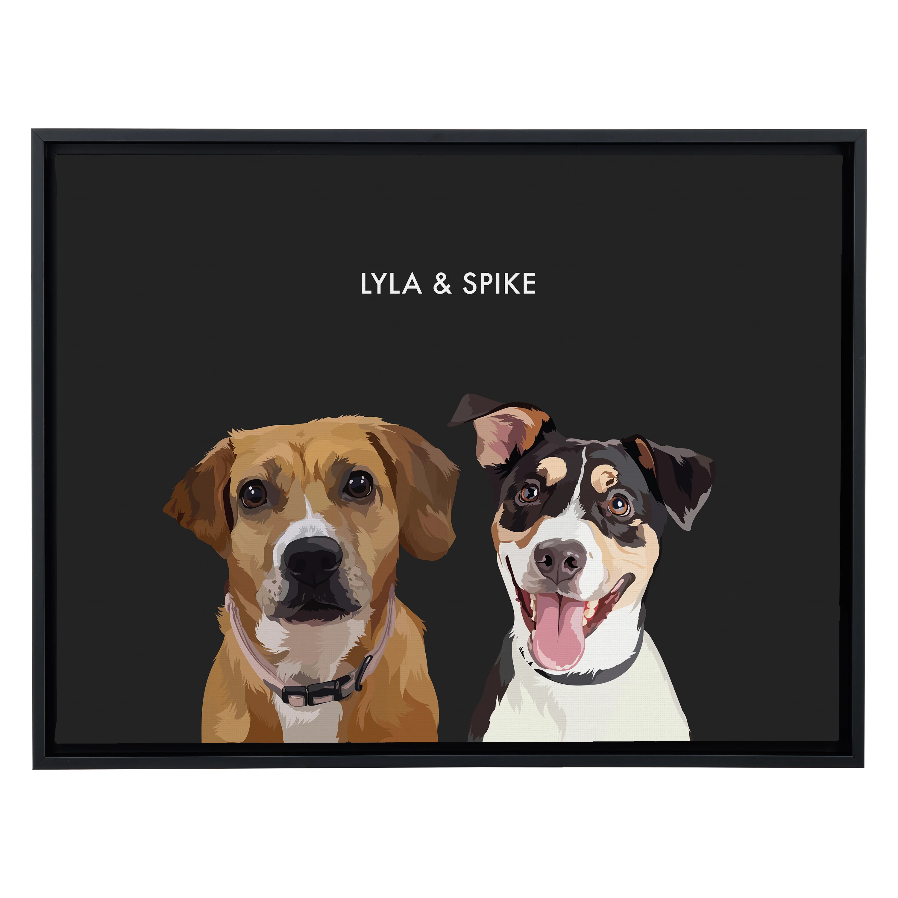 Product image 79